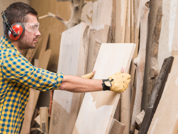 A woodworker in a showroom wearing a flannel shirt, eye, ear, and hand protection evaluating wood panels.