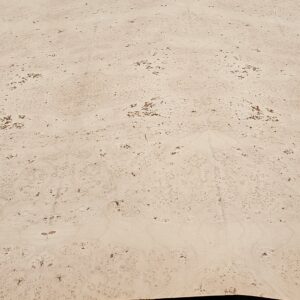 Baltic Birch Plywood Sale