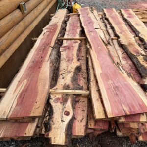 Eastern Red Cedar