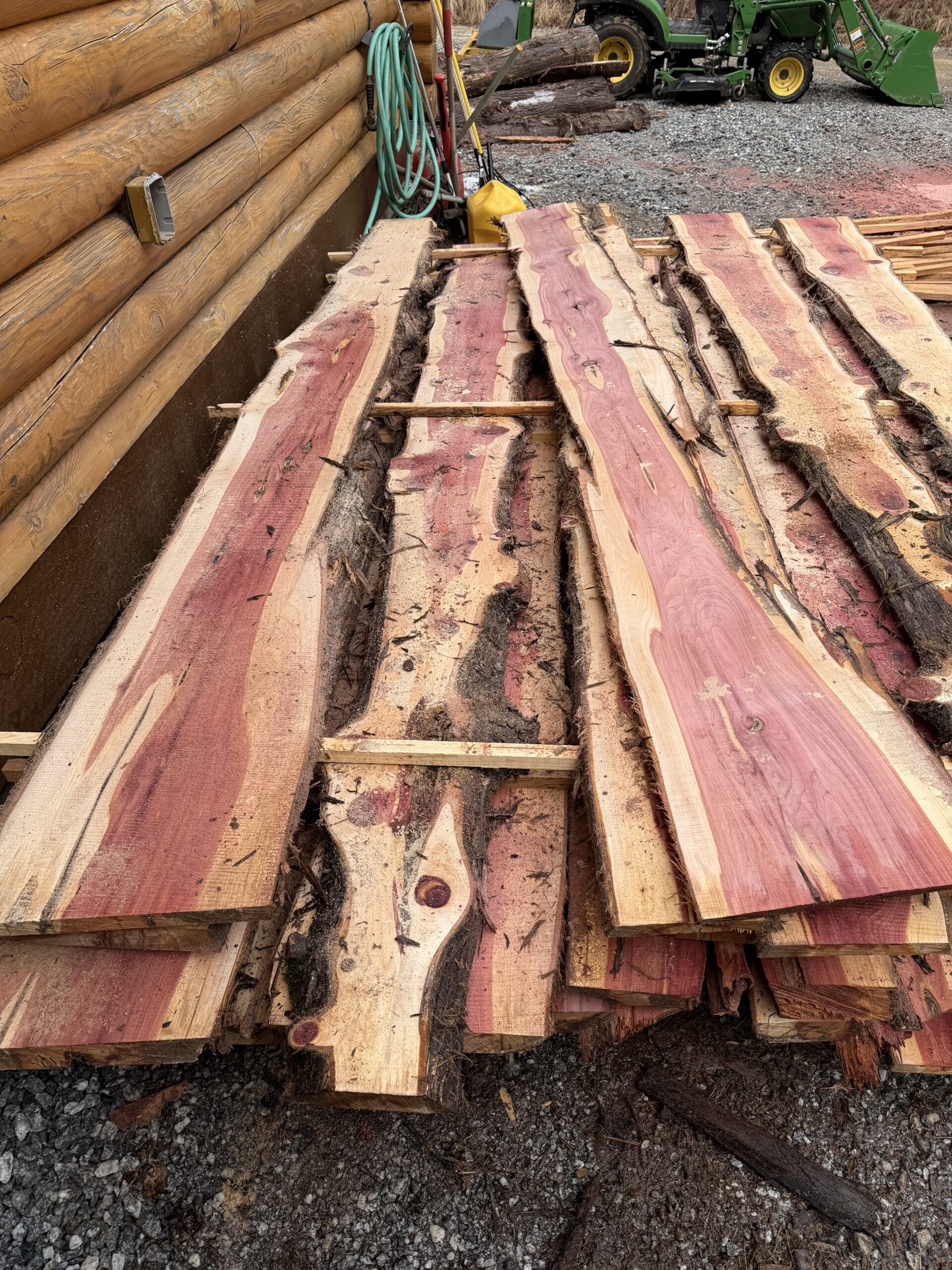 Eastern Red Cedar Slabs 250 years old