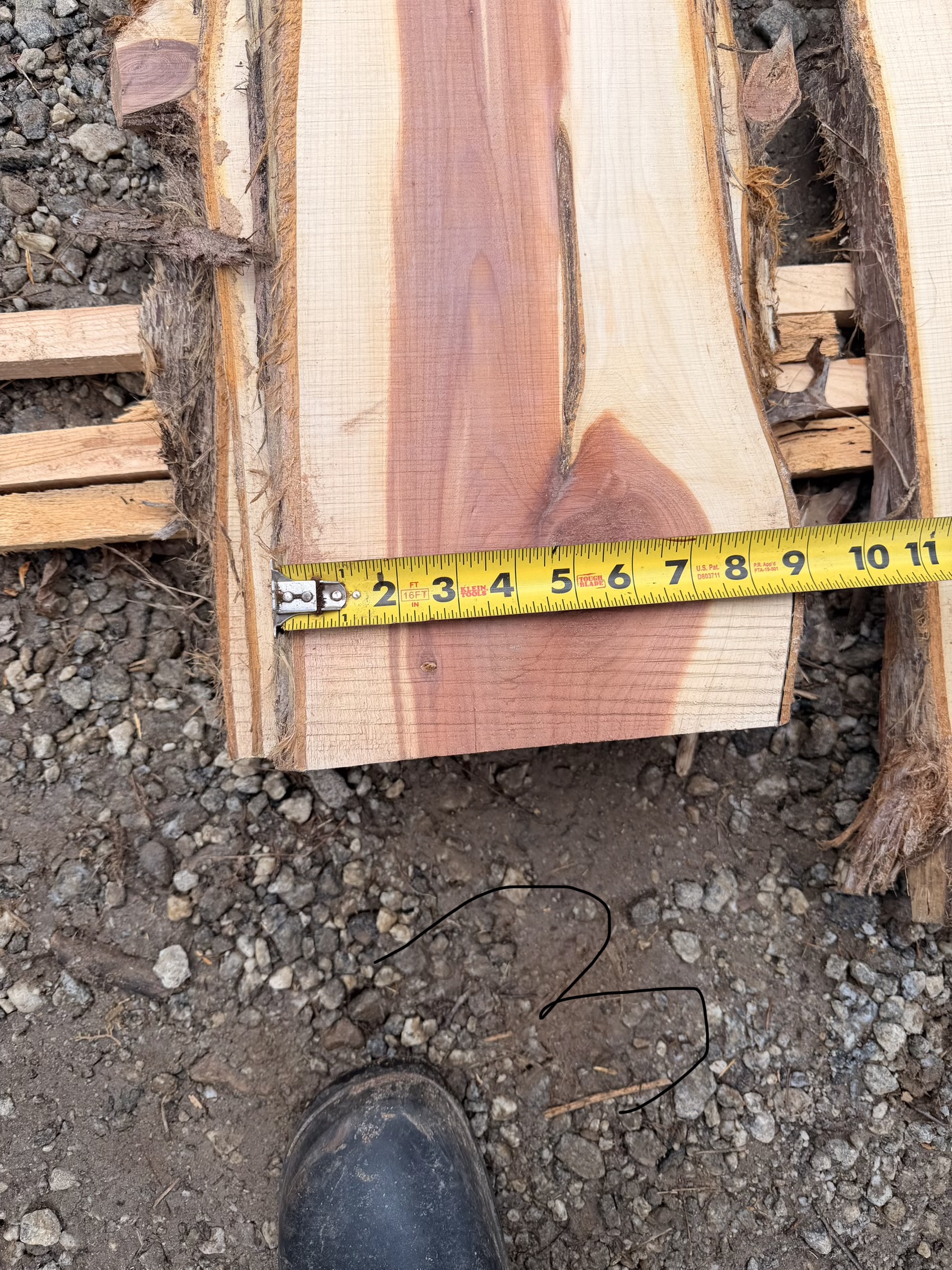 Eastern Red Cedar Slabs 250 years old - Image 2