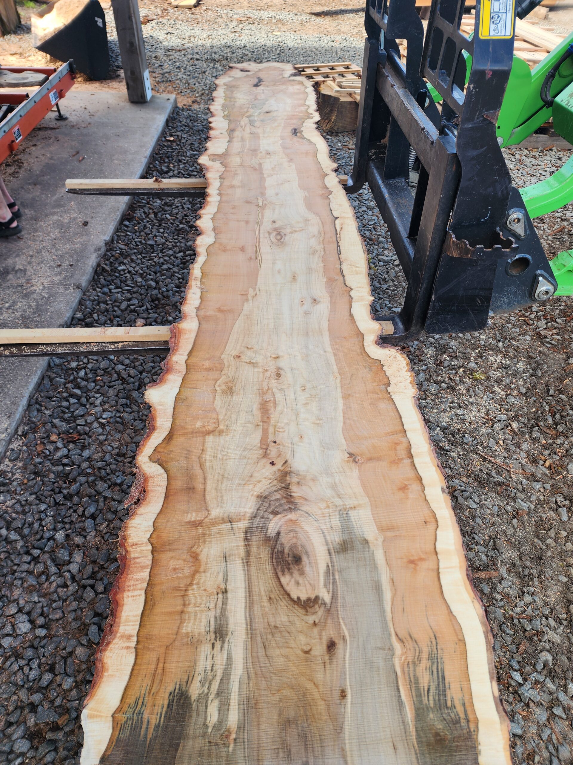 Own a piece of Lane County history: 11' stunning Silver Maple slabs - Image 8