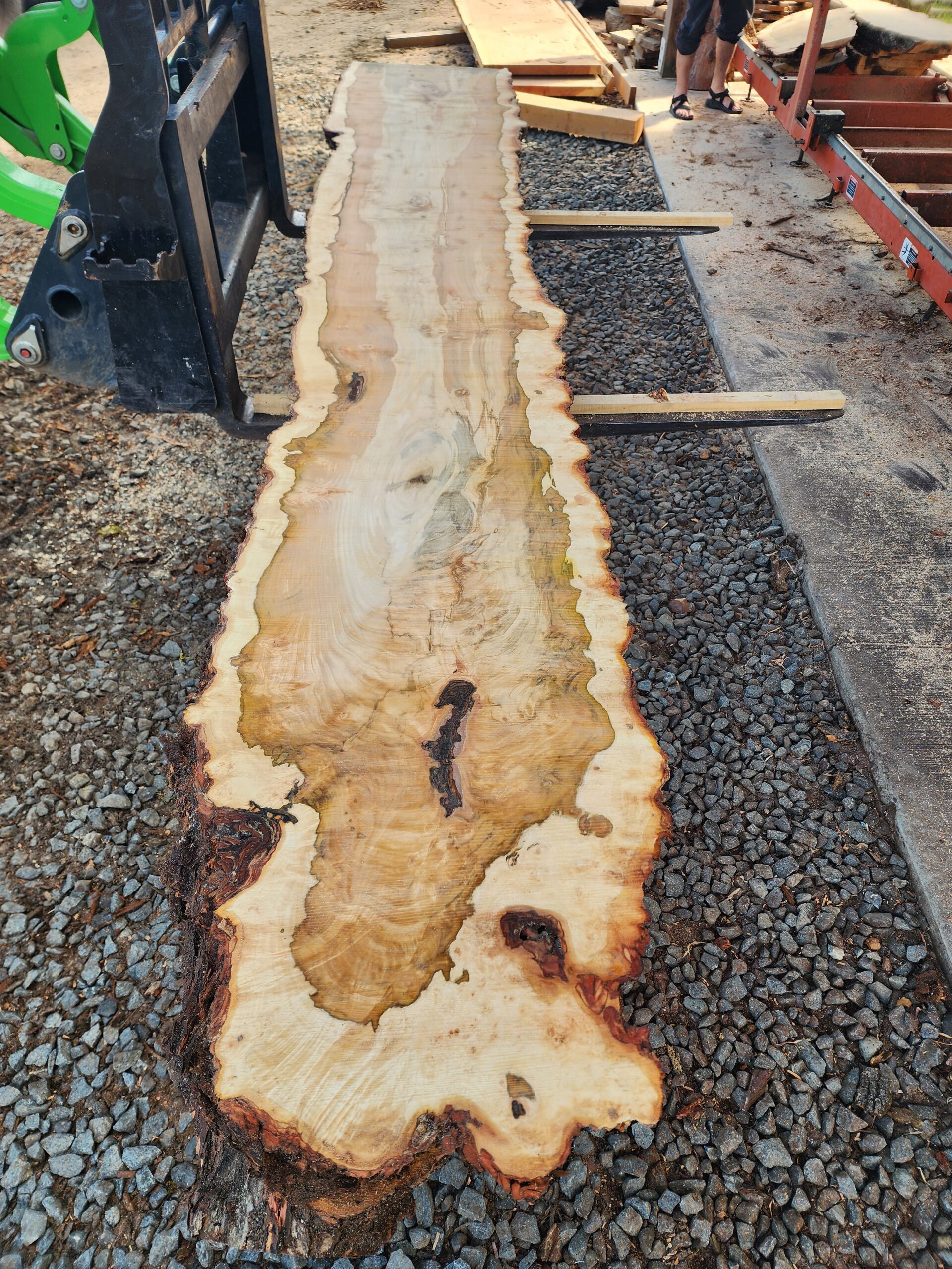 Own a piece of Lane County history: 11' stunning Silver Maple slabs - Image 2