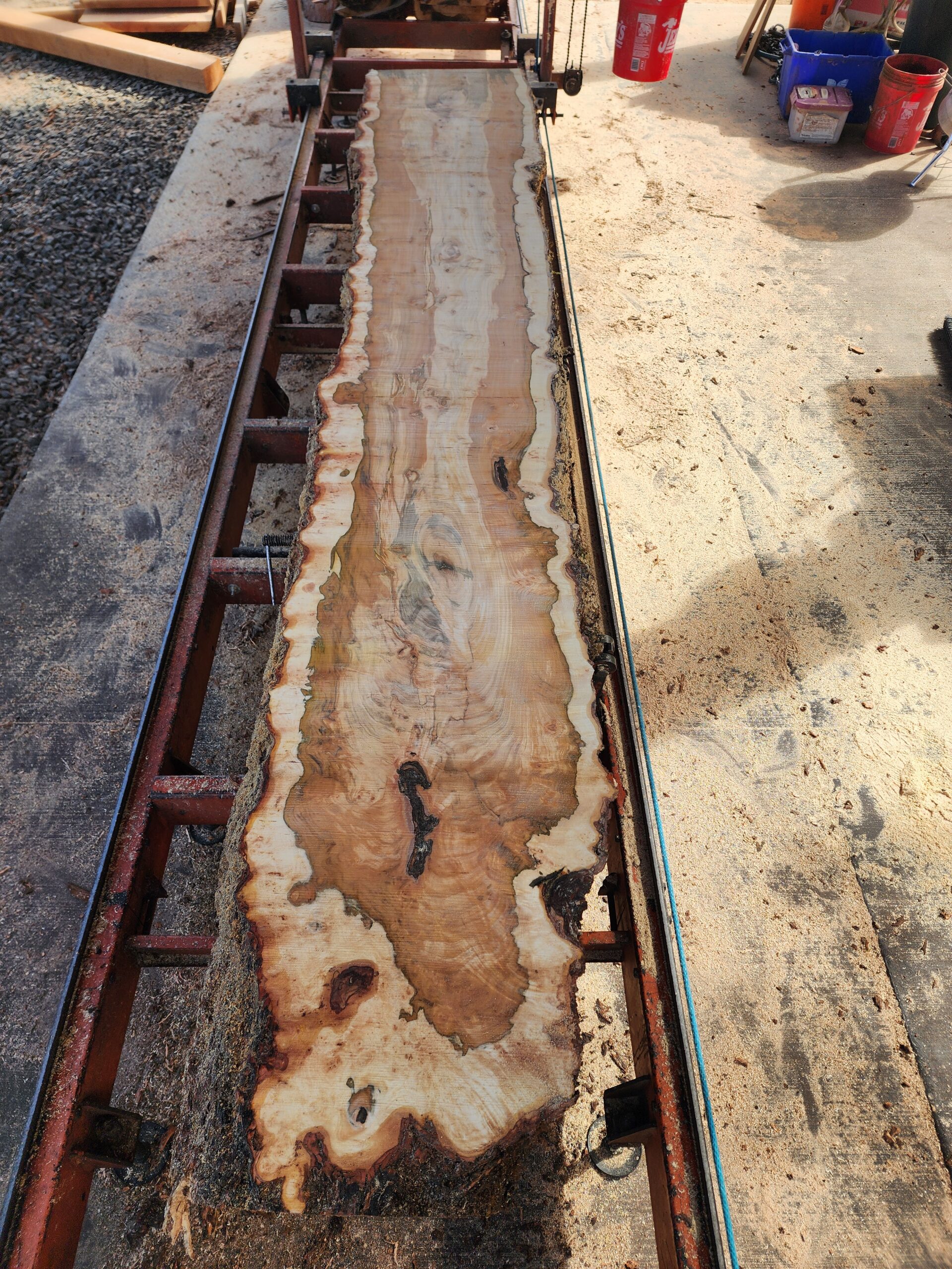 Own a piece of Lane County history: 11' stunning Silver Maple slabs - Image 7