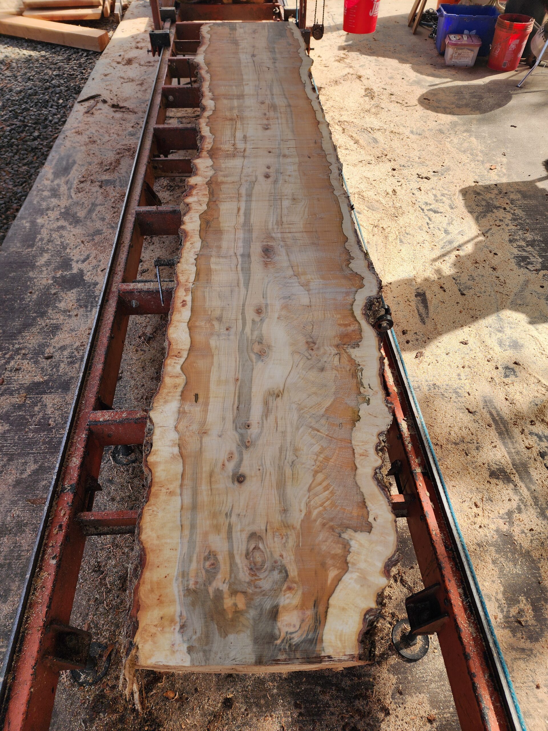 Own a piece of Lane County history: 11' stunning Silver Maple slabs - Image 12