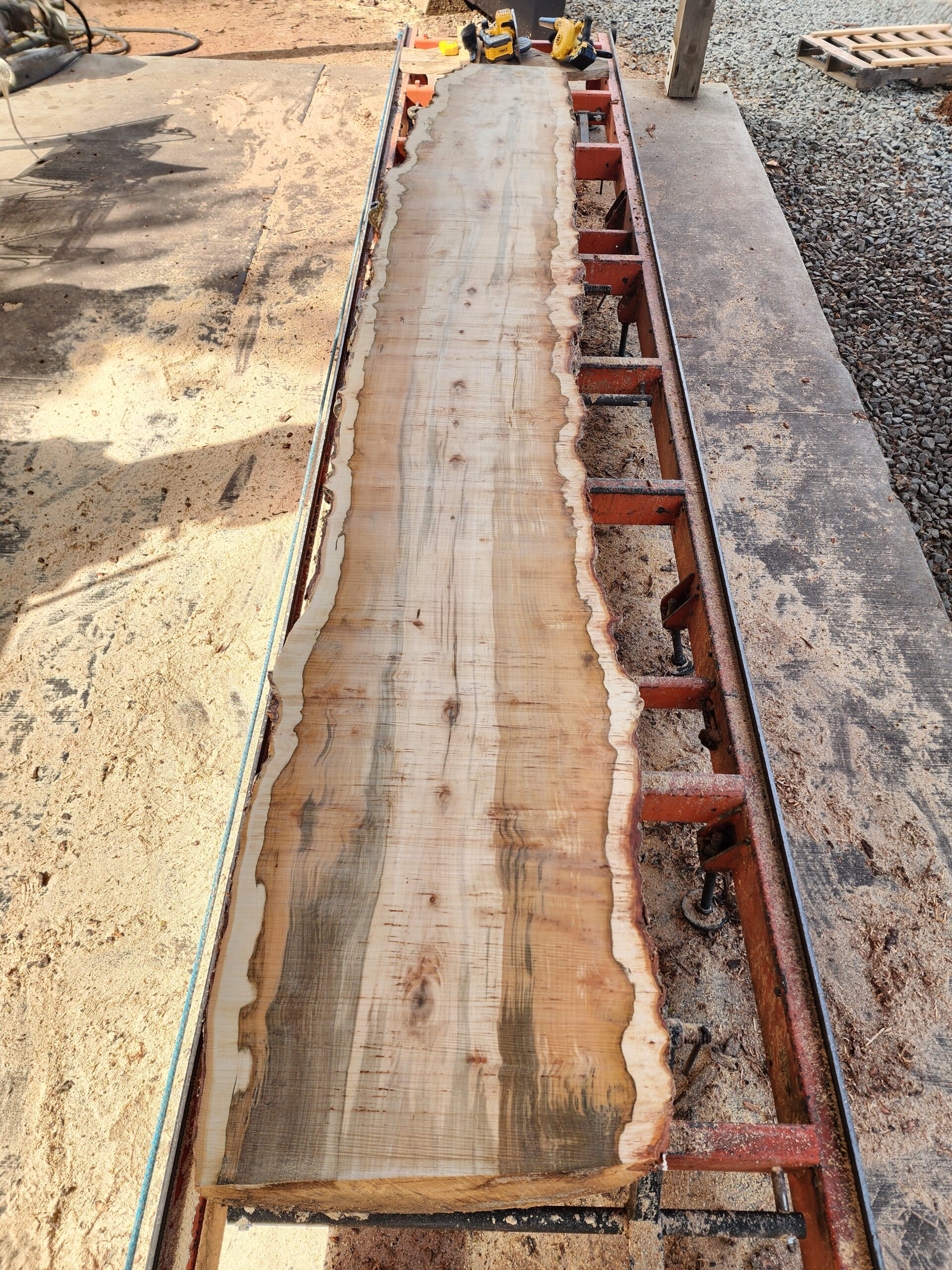 Own a piece of Lane County history: 11' stunning Silver Maple slabs - Image 13
