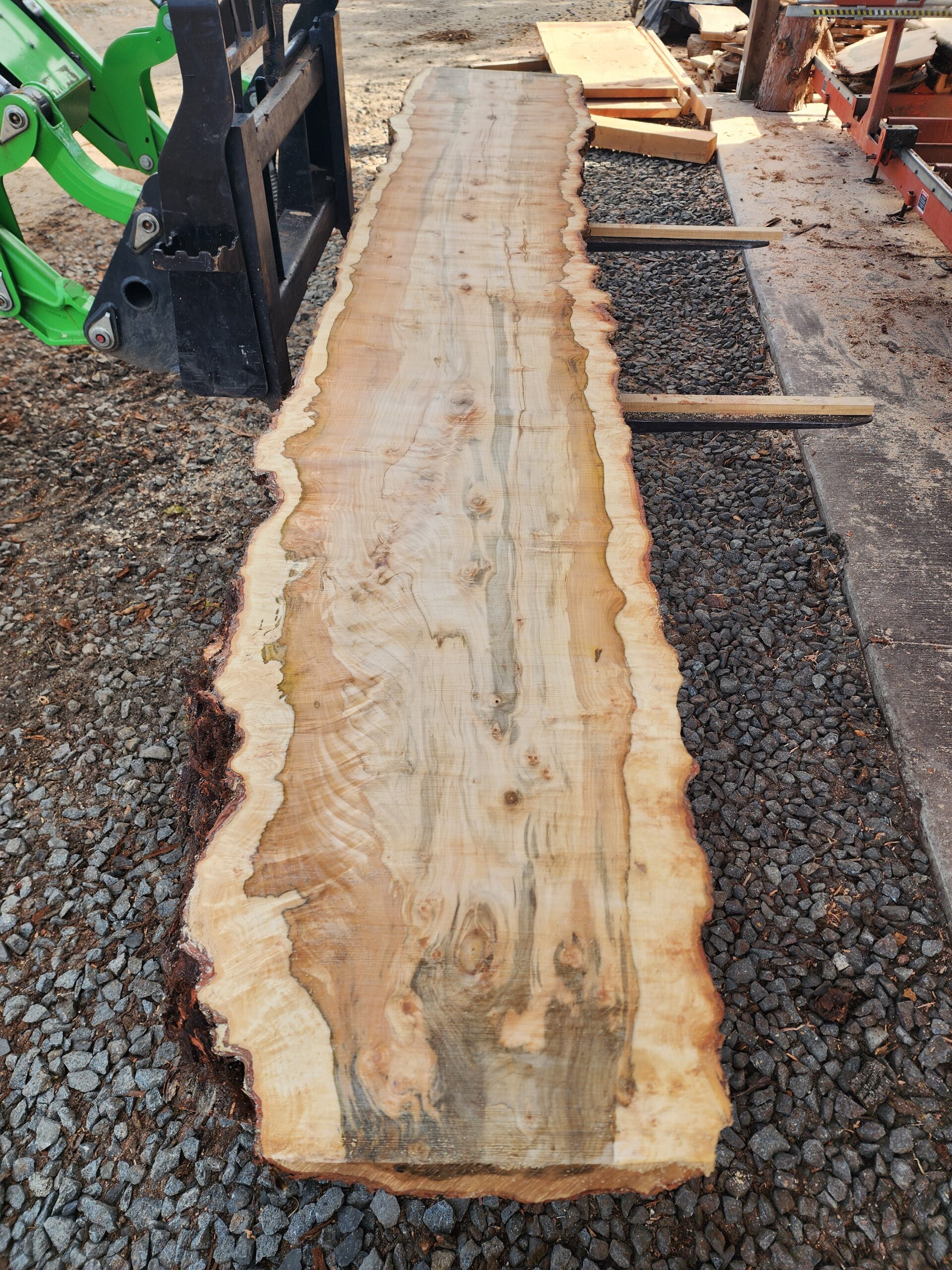 Own a piece of Lane County history: 11' stunning Silver Maple slabs