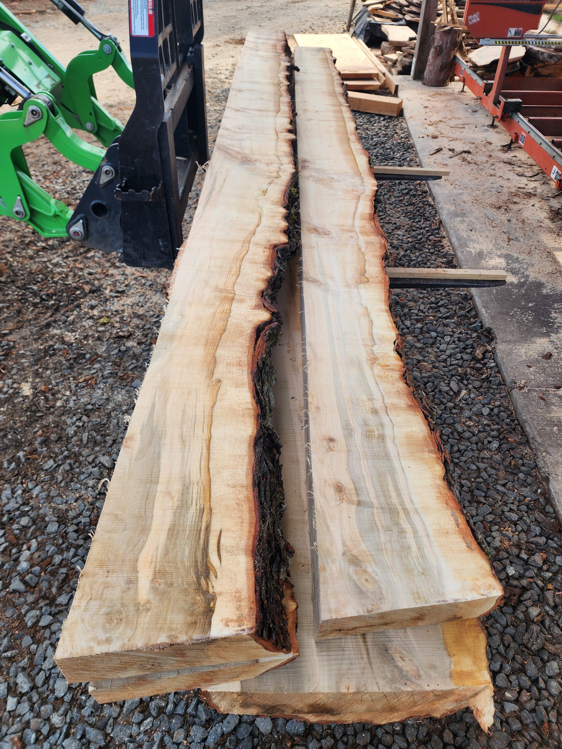 11 ft Exceptional heritage Silver Maple mantelpieces. Ethically salvaged right from our local Armitage Park - Image 2