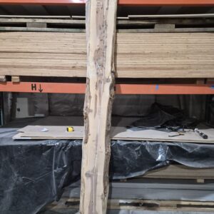 SEQUOIA WOOD SLAB #3